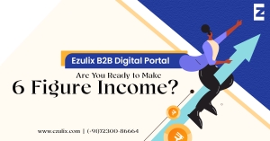 Make 6-Figure Income with B2B Digital Portal